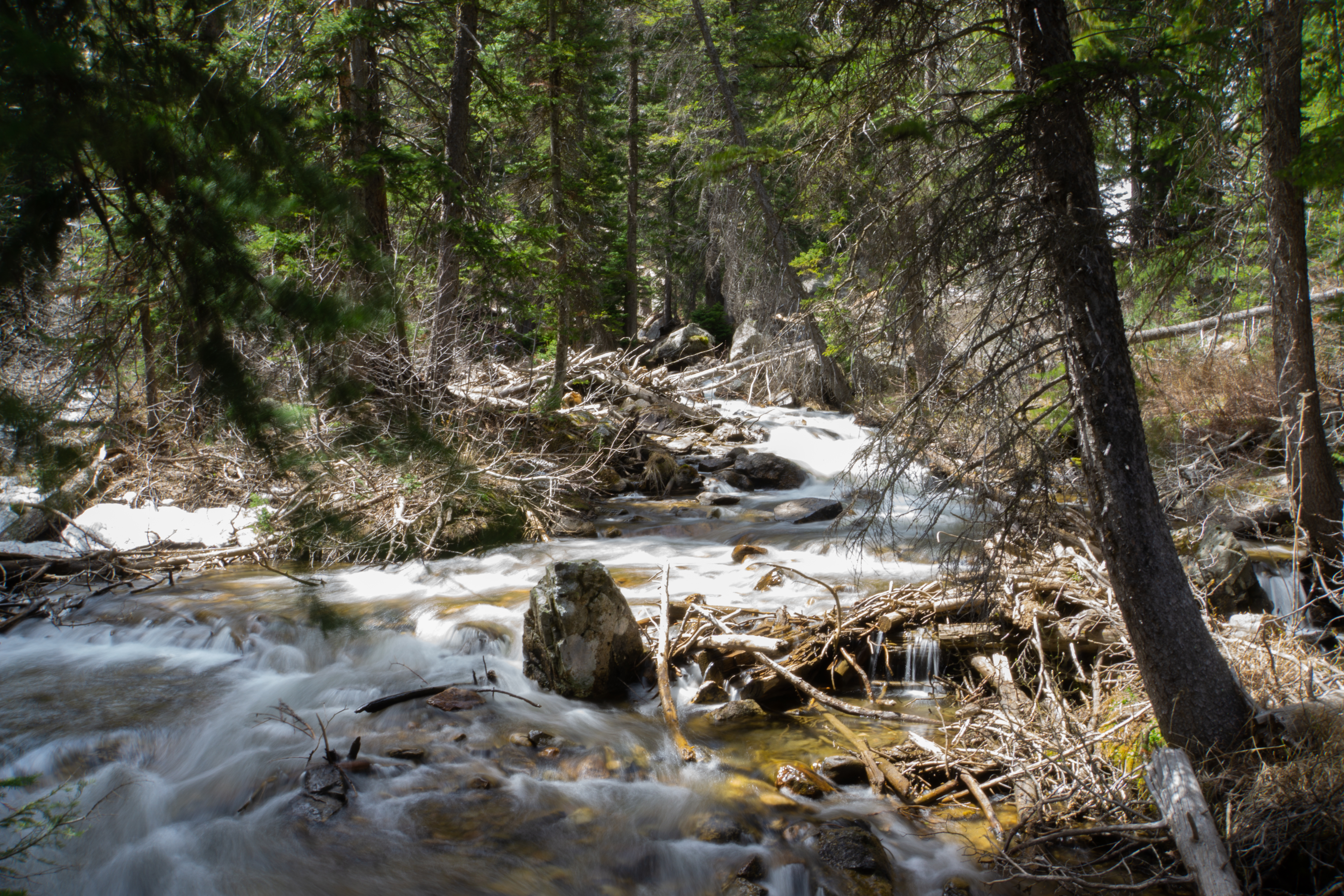 US National Parks 2022 38